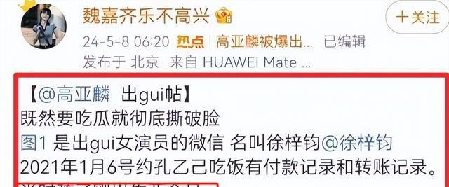 央视出手!坚持和妻子丁克,却和情人生子的高亚麟,再翻不了身了