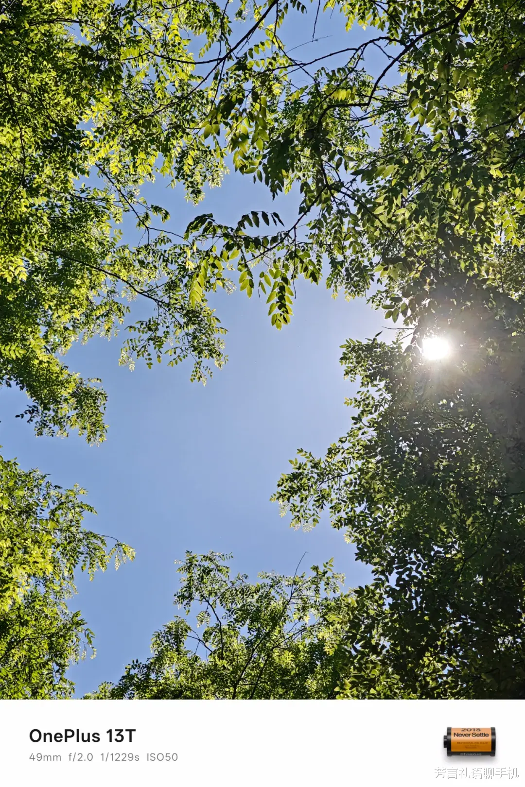 這才是小屏手機中的“性價比之王”？質感出色、全方位能打，價格更低