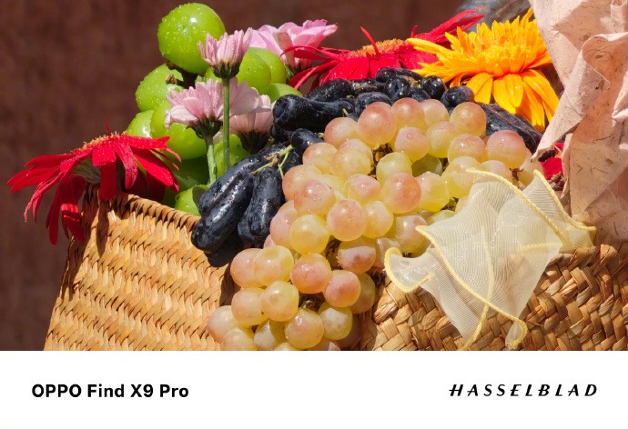 OPPO Find X9系列发布在即:真2亿像素引领手机影像画质革命
