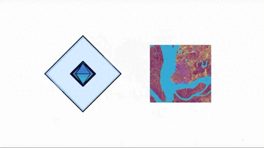谷歌把整個地球裝進大模型，實時觀測，按天更新