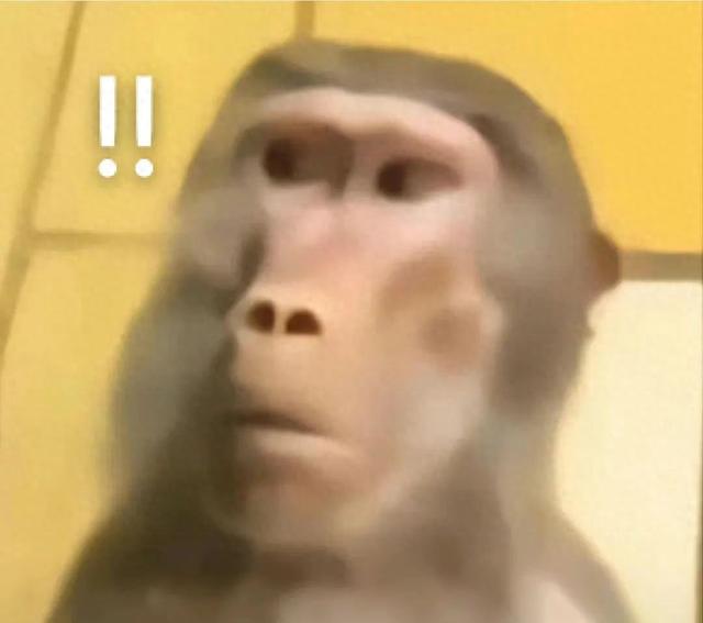 346W!小米这1TB新机一发布,又是碾压全场