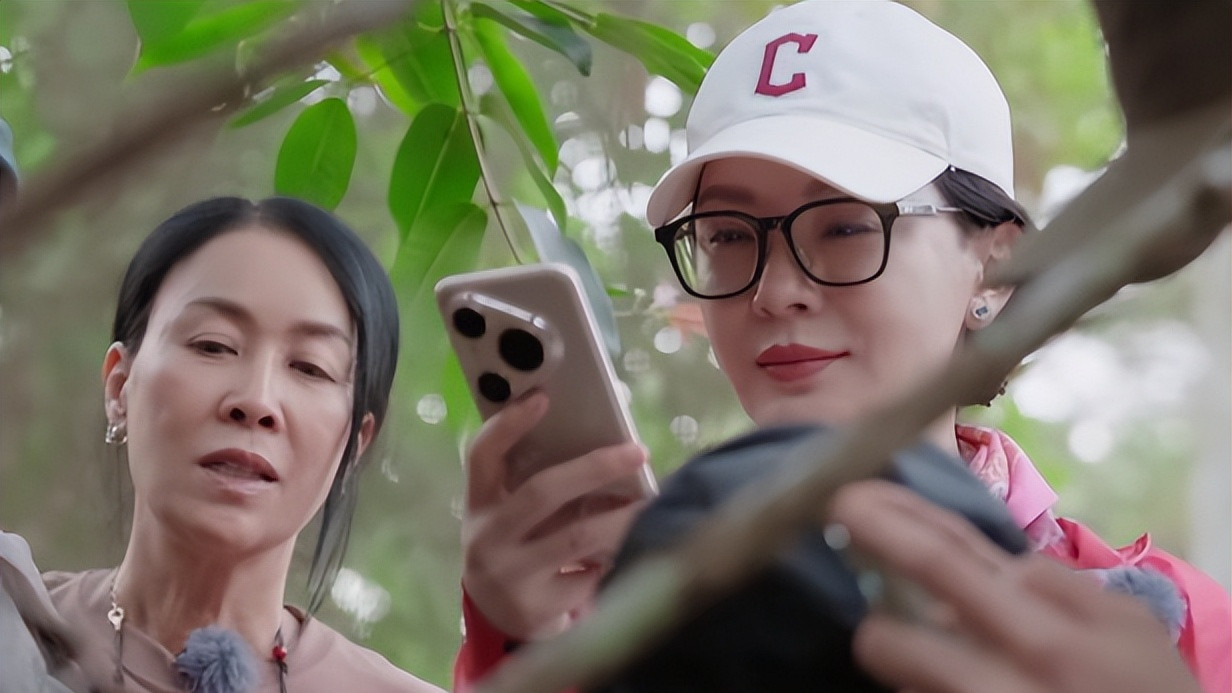 明星高高在上录综艺“遭人嫌”？花少这一天，陈数给内娱上了一课