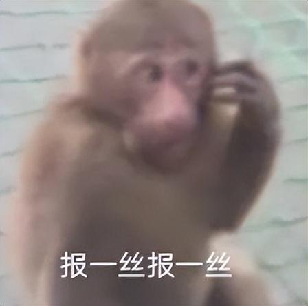 499元，小米刚刚公布的6000mAh新品，有点骚啊