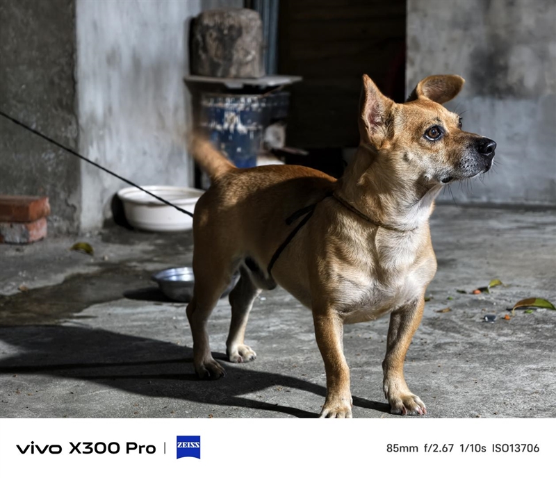 史上最強的影像旗艦！vivo X300 Pro評測：越級挑戰的全能神機