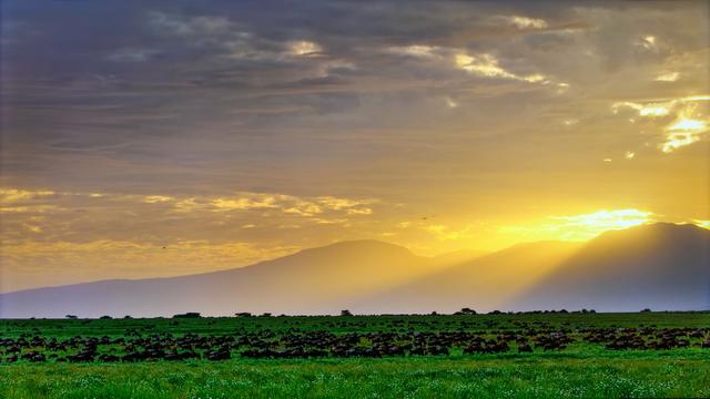 TCL T7L Pro Mini LED电视评测：万象分区让超薄电视大有不同