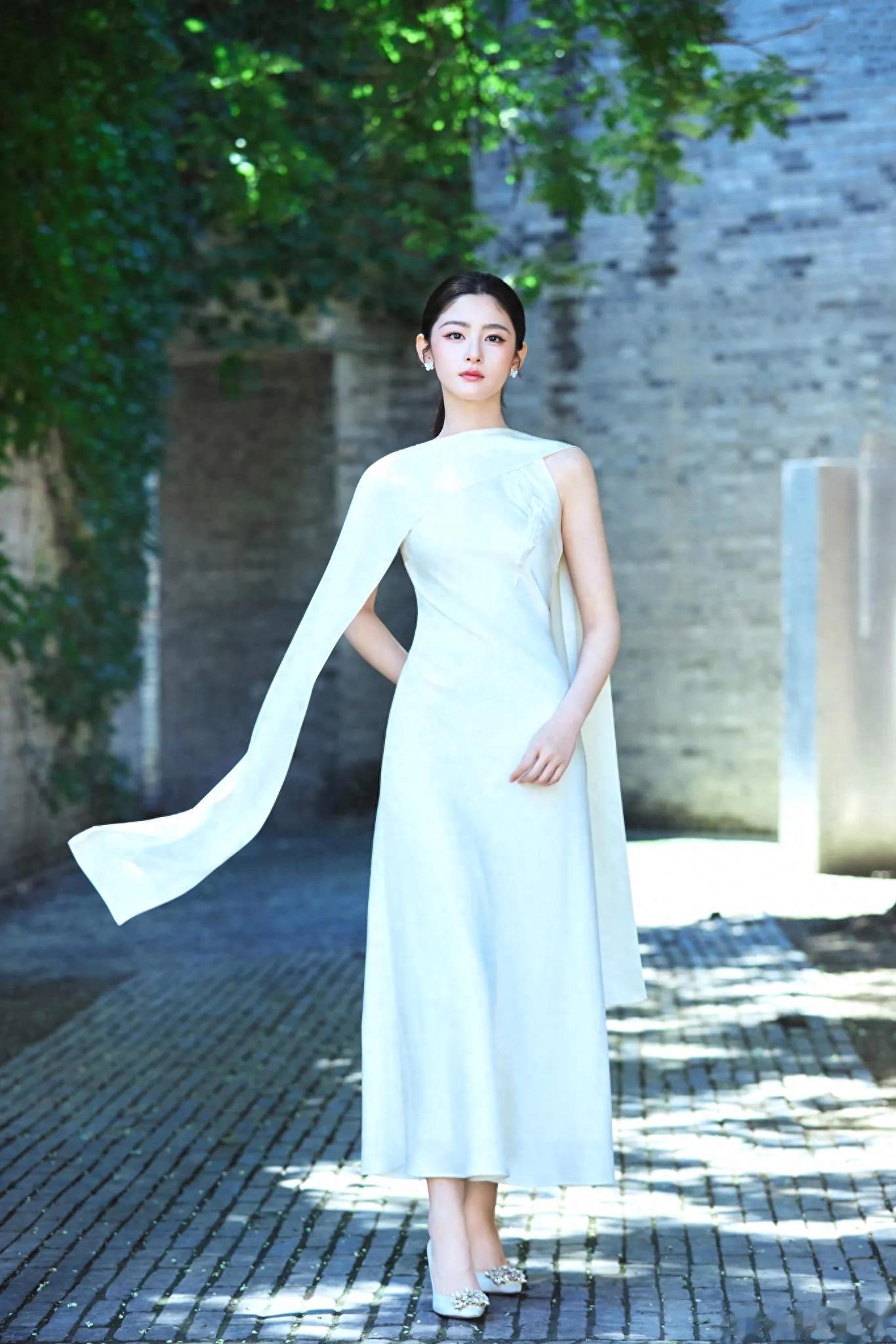 赵晴,倾城之貌,羞花之美