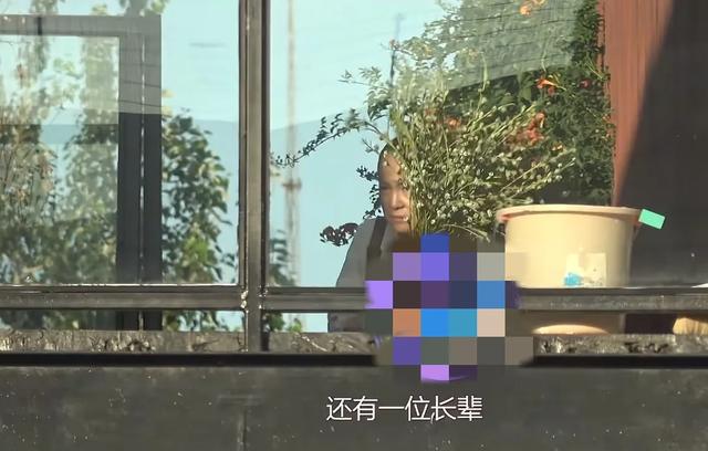 宋佳带妈妈参观工作室，母女俩眉眼神似，走路姿势一模一样好温馨