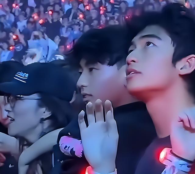 一段发言，彻底暴露了张柏芝的小心思，锋菲联手都没能玩儿过她