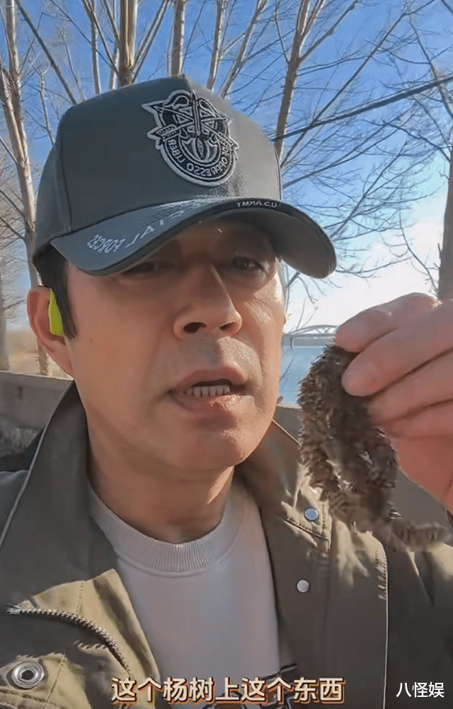 53岁刘钧住京郊，捡“杨树毛”包包子，网友：第一次听说这能吃
