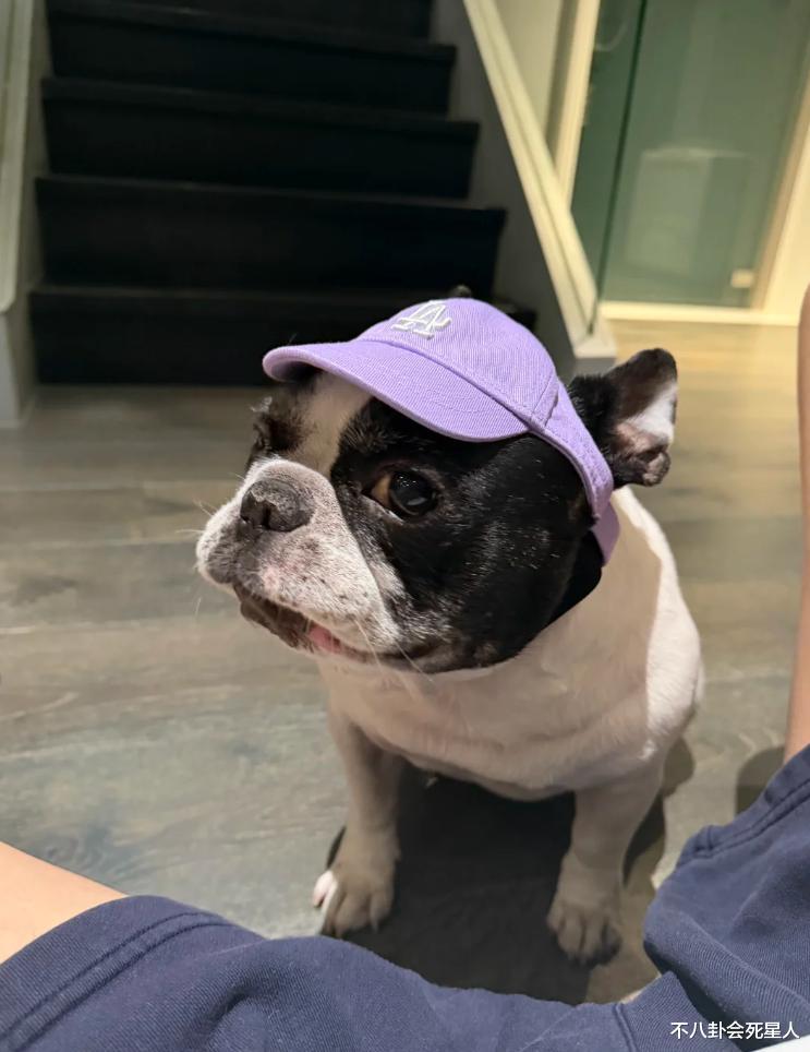 鹿晗豪宅曝光，超大平米装修奢华玩具有展示柜，短裤暴露膝盖伤情