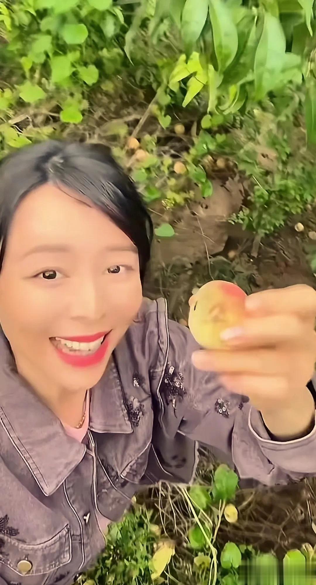 45岁女明星晒北京别墅小院,种了8颗桃树,独自居住,无性无爱