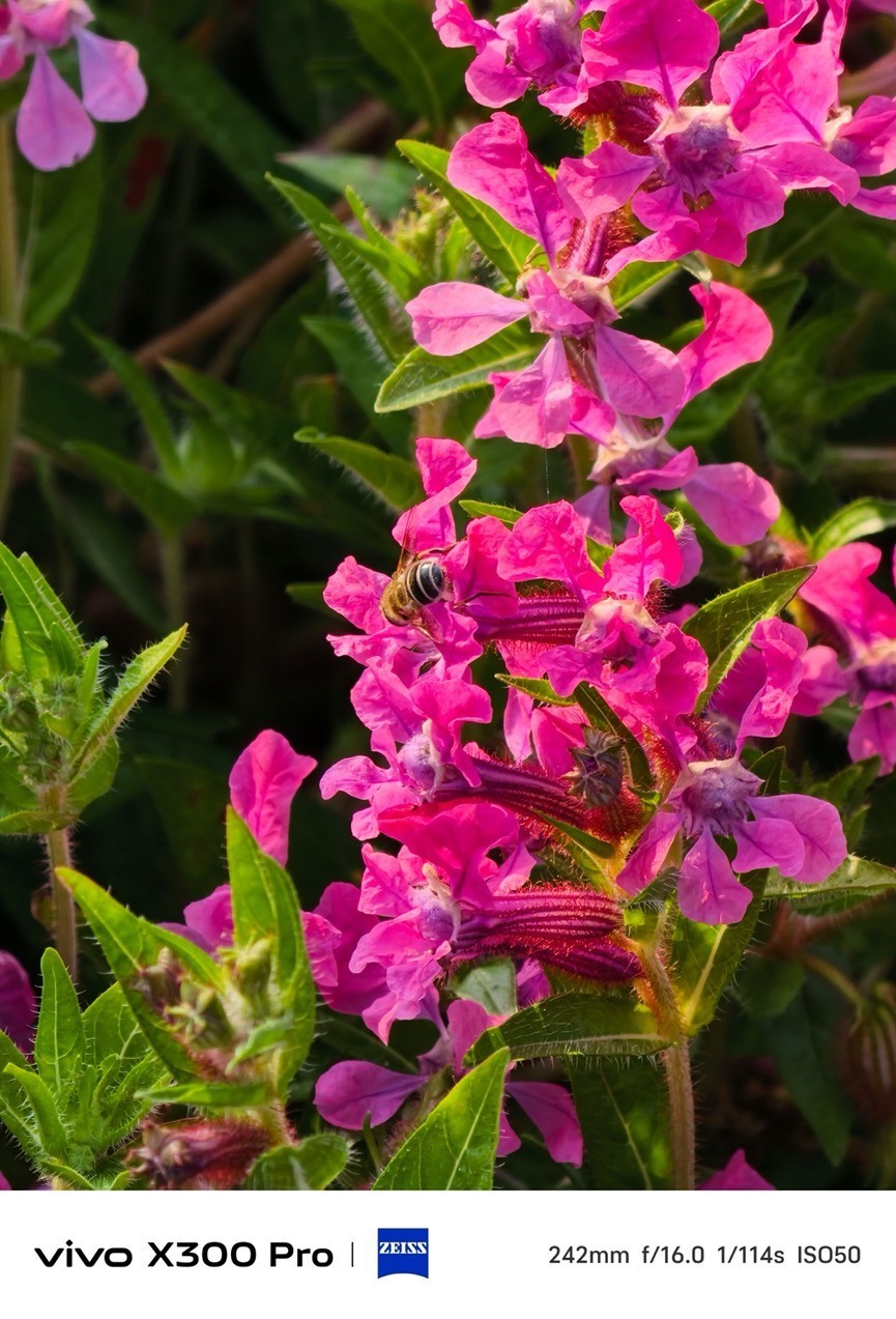 2025影像旗艦手機為何首選天璣芯？2億像素大片一鍵直出