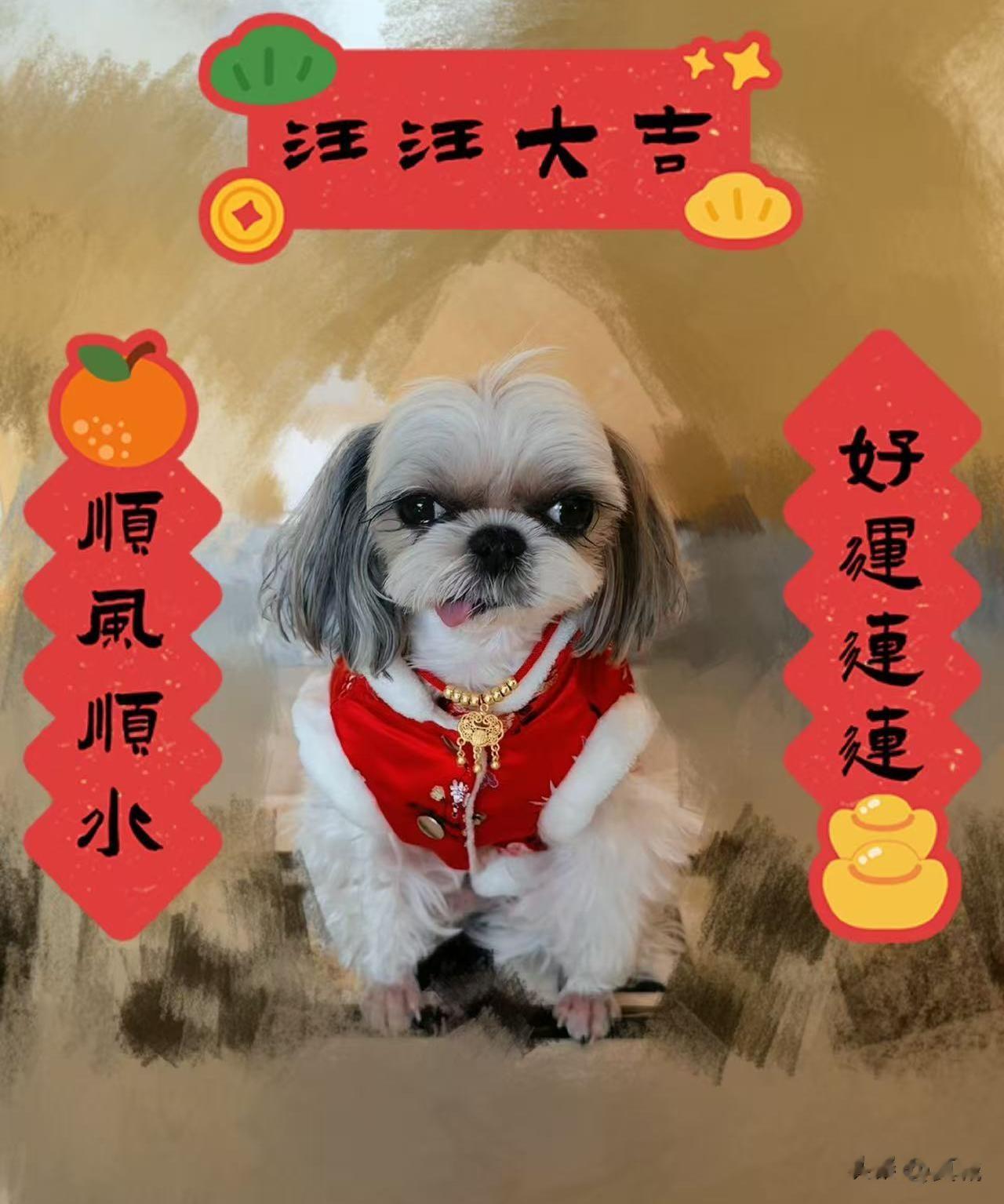 江疏影晒年夜饭细节，网友热议无名指戒指与“二人餐”暗示