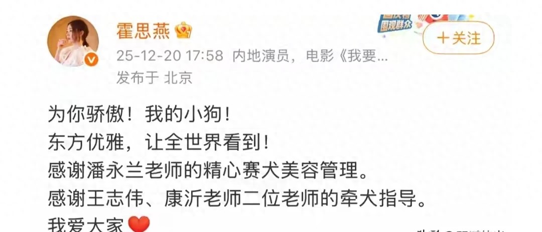 霍思燕牵狗参赛，她的西施犬获国际冠军，杜江激动，网友气愤