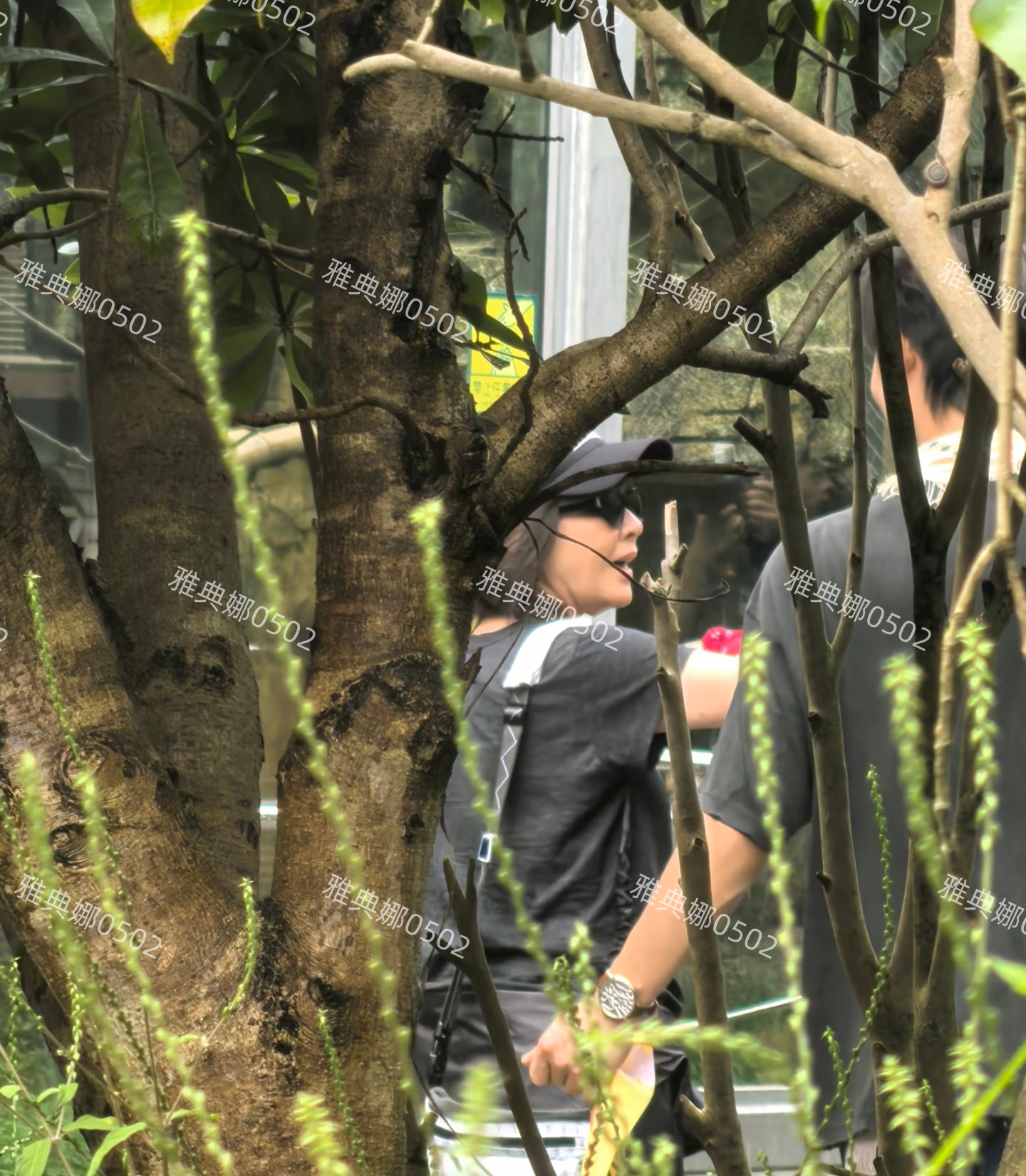 刘晓庆明显比去年发福了,奶奶年纪的姐姐们在公园闲逛也叫综艺?