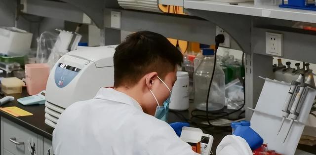 庞众望终于苦尽甘来,爱情事业双丰收,女友堪比明星,丈母娘满意