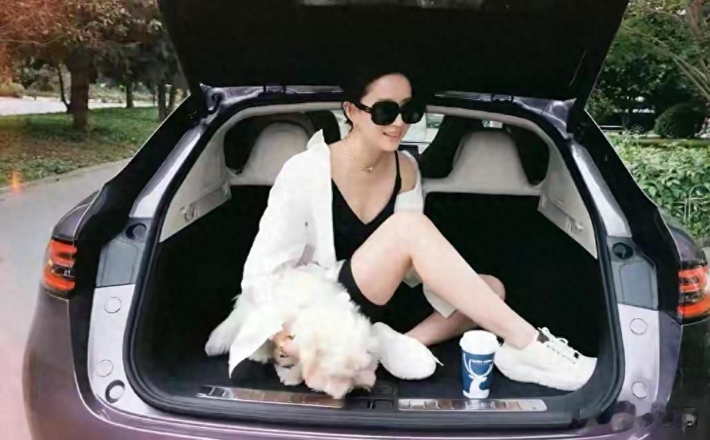 刘亦菲国庆自驾藏太深，新狗扎粉辫像糯米团，目的地猜不透