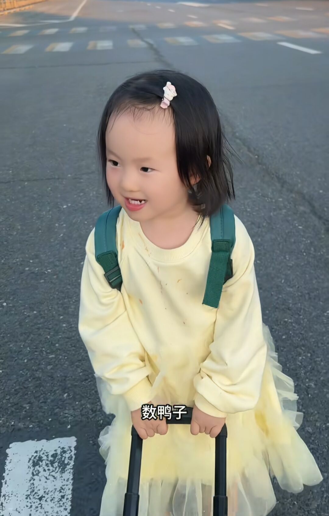 王思聪“女儿”已上户口！2岁闪闪很可爱，黄一鸣仍放不下王思聪