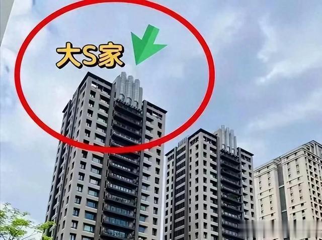 S妈三招保豪宅全崩!汪小菲冷回9个字气炸老赖,王伟忠老脸丢光