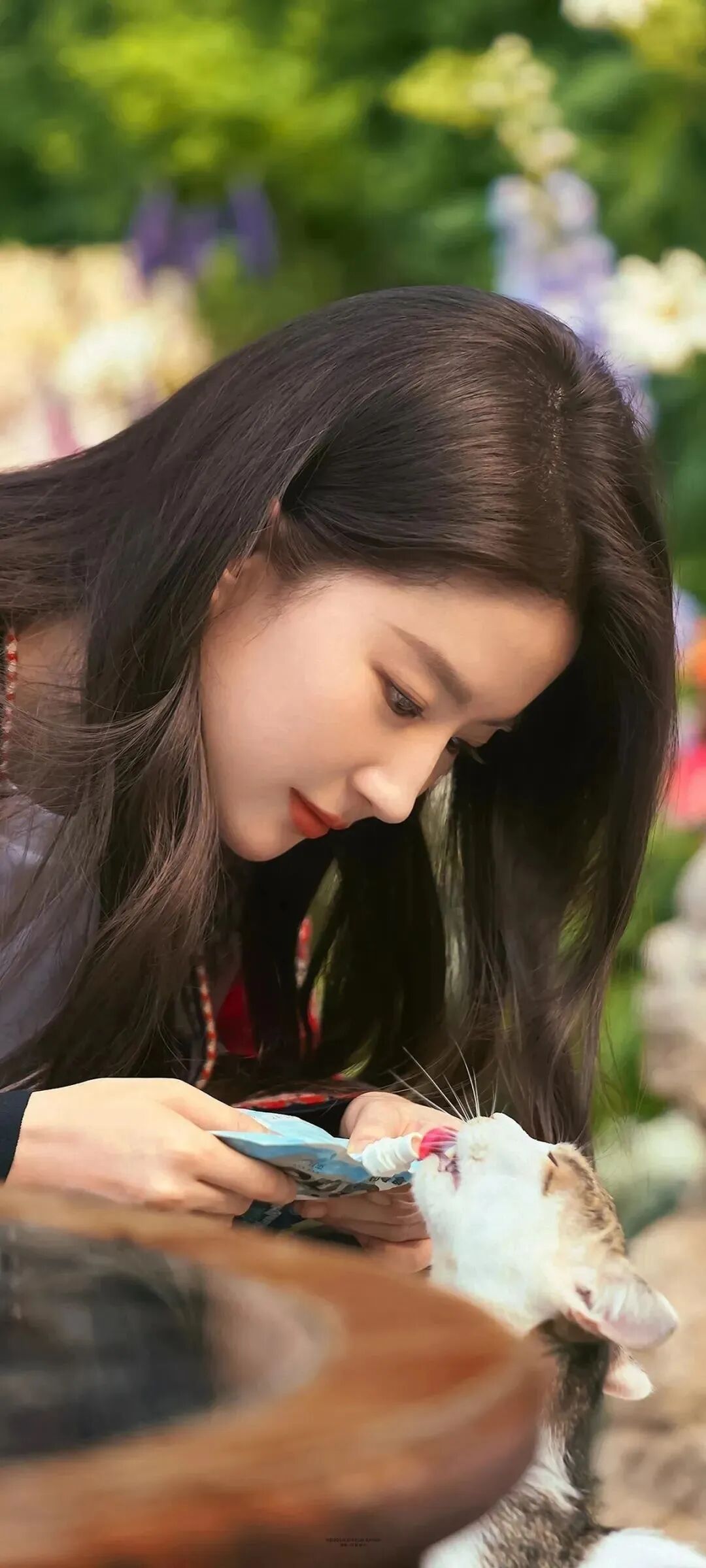 刘亦菲美图分享