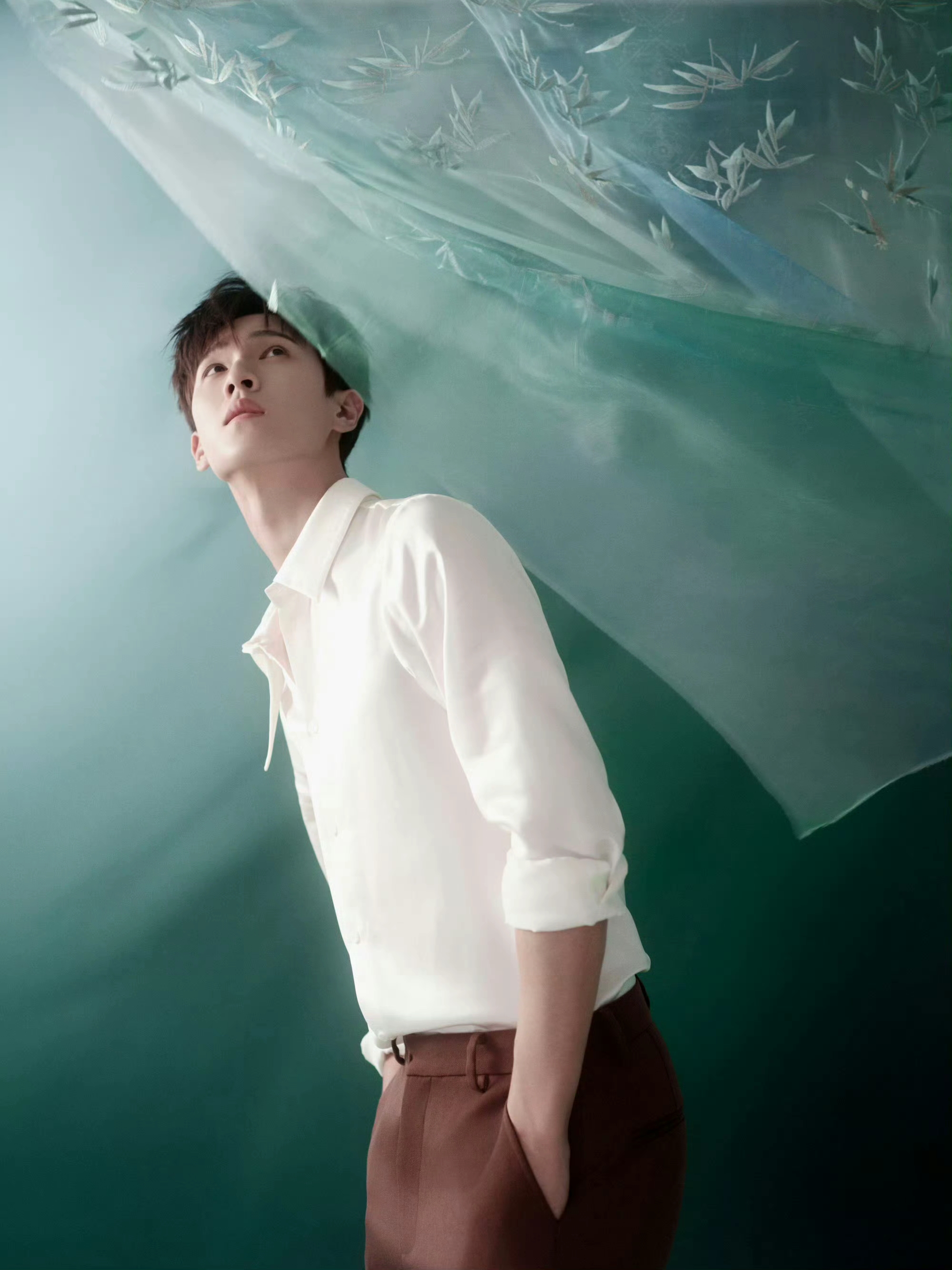 11.10娱乐瓜：王鹤棣 肖战 孟子义 王星越 朱一龙 关晓彤 李昀锐 陈都灵