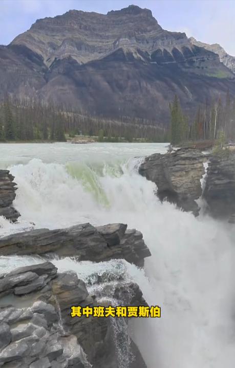 摊事了！央视主持人海外游，带妻女高调炫耀海外生活，被网友骂惨