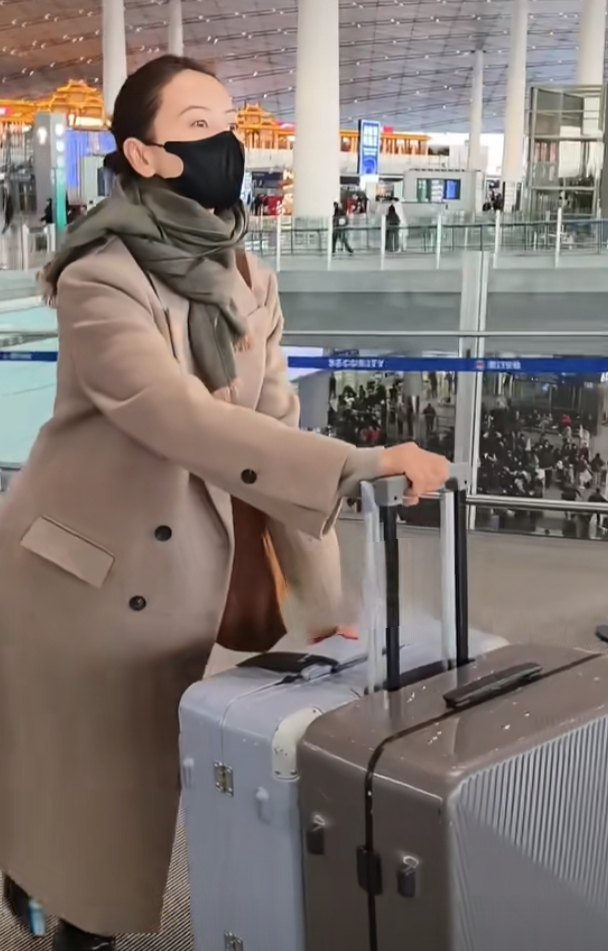 高圆圆机场路透,盘发搭驼色大衣,美貌与气质并存