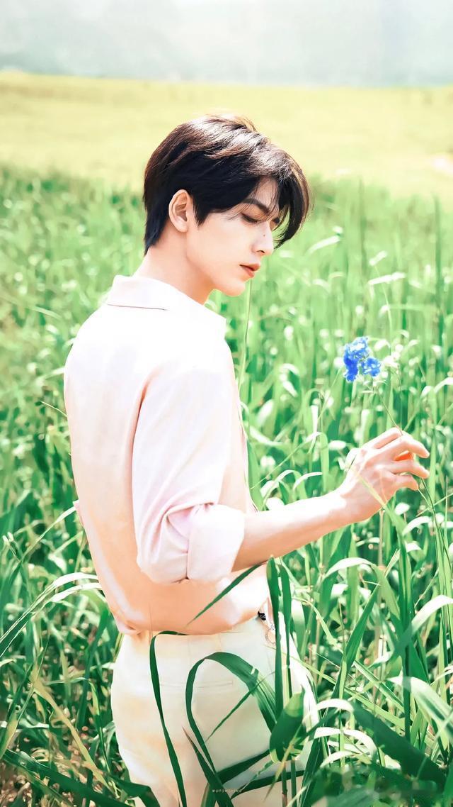 少年感十足的国民偶像洗牌，白敬亭9檀健次8吴磊7王一博6成毅第2