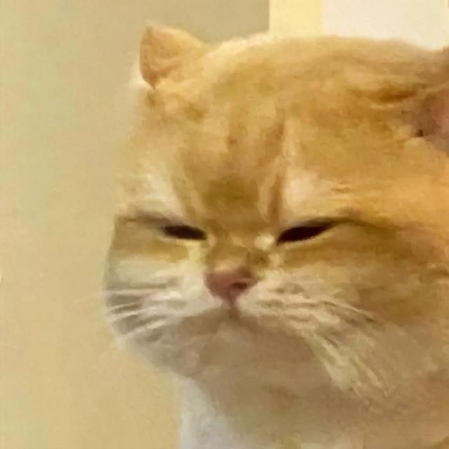 看完苹果的WWDC25,我默默把方便面上的iPad拿了下来