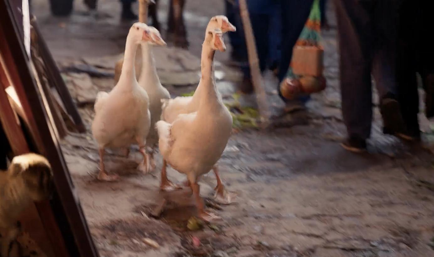 《小城大事》定档，但凡赵丽颖差一点，都压不住这5位王炸女配！