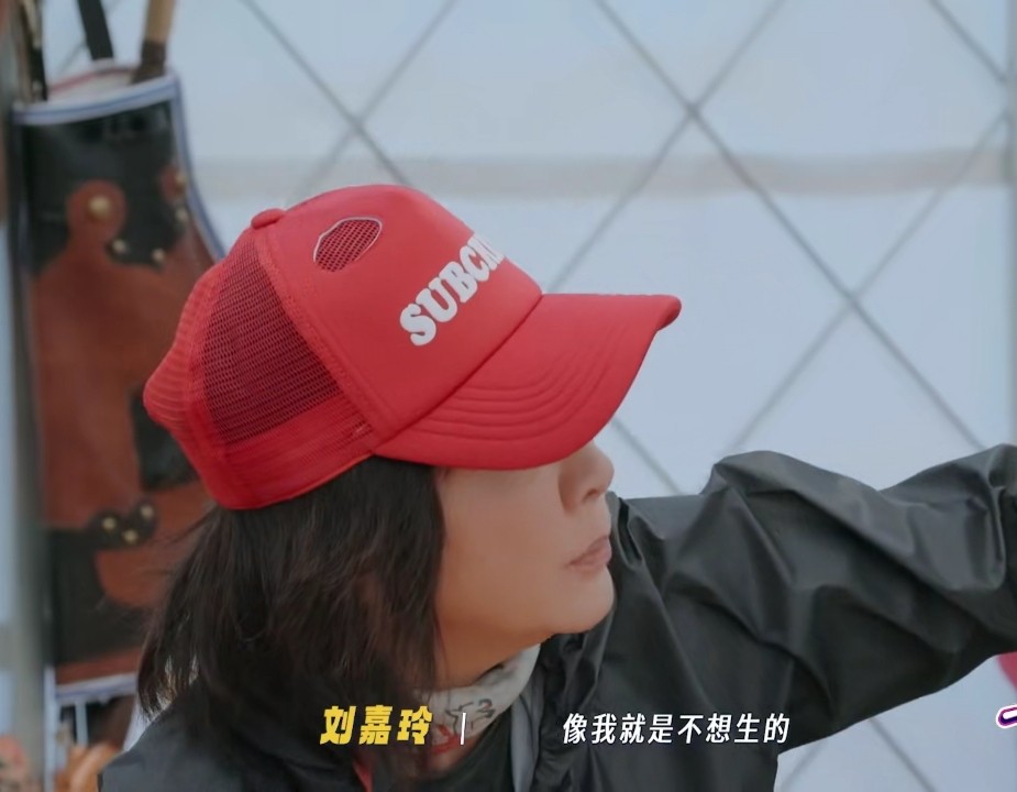 《一路繁花2》女星洁癖，刘嘉玲自带马桶垫，张柏芝不洗澡不上床