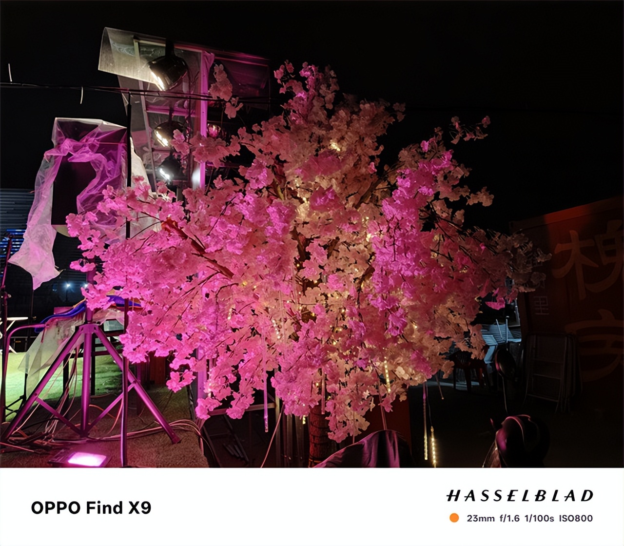 OPPO Find X9超越Pro版 最強標準版旅拍神器驚艷四座