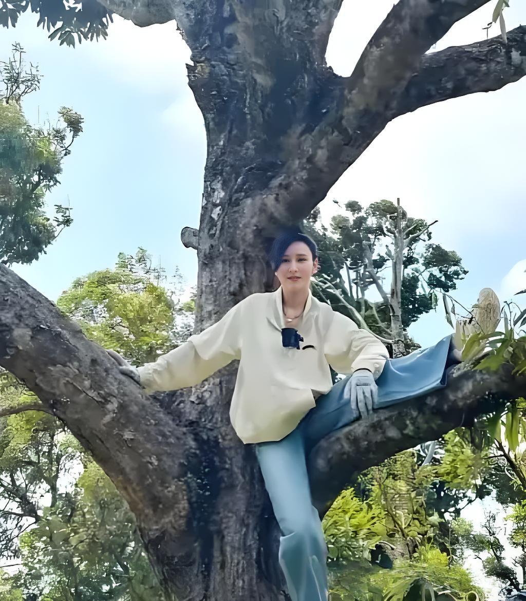 胡静家榴莲大丰收！猫山王挂满枝，树王年龄40加，网友看完流口水