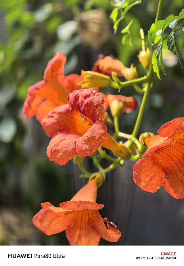 華為 Pura 80 Ultra全面評測 突破硬件邊界，帶你看更遠