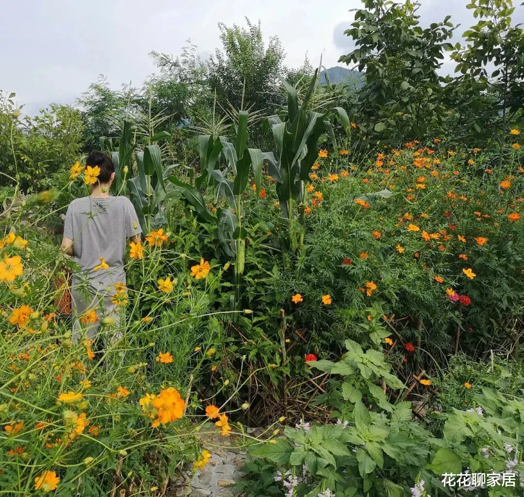 45岁殷桃的独居生活:深山养花种树,冥想打坐,尽享离异单身的清欢。