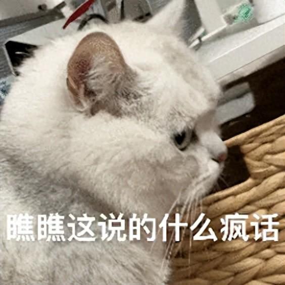硅谷AI初創重新擁抱996