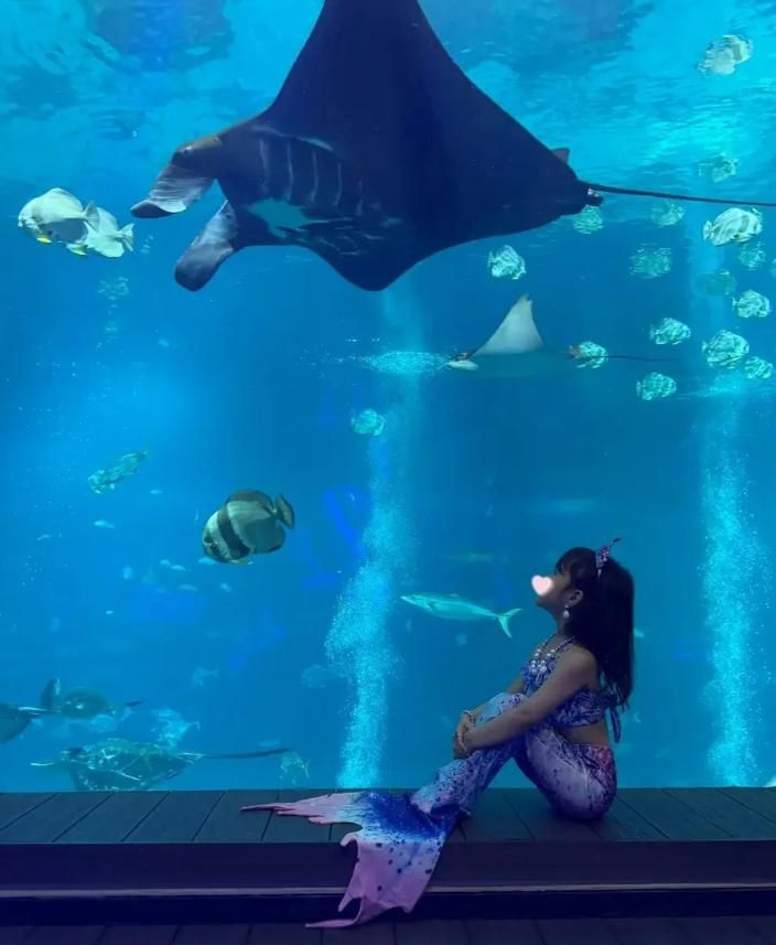 林峯和家人新加坡度假，女儿扮成美人鱼超可爱，妻子颜值超高