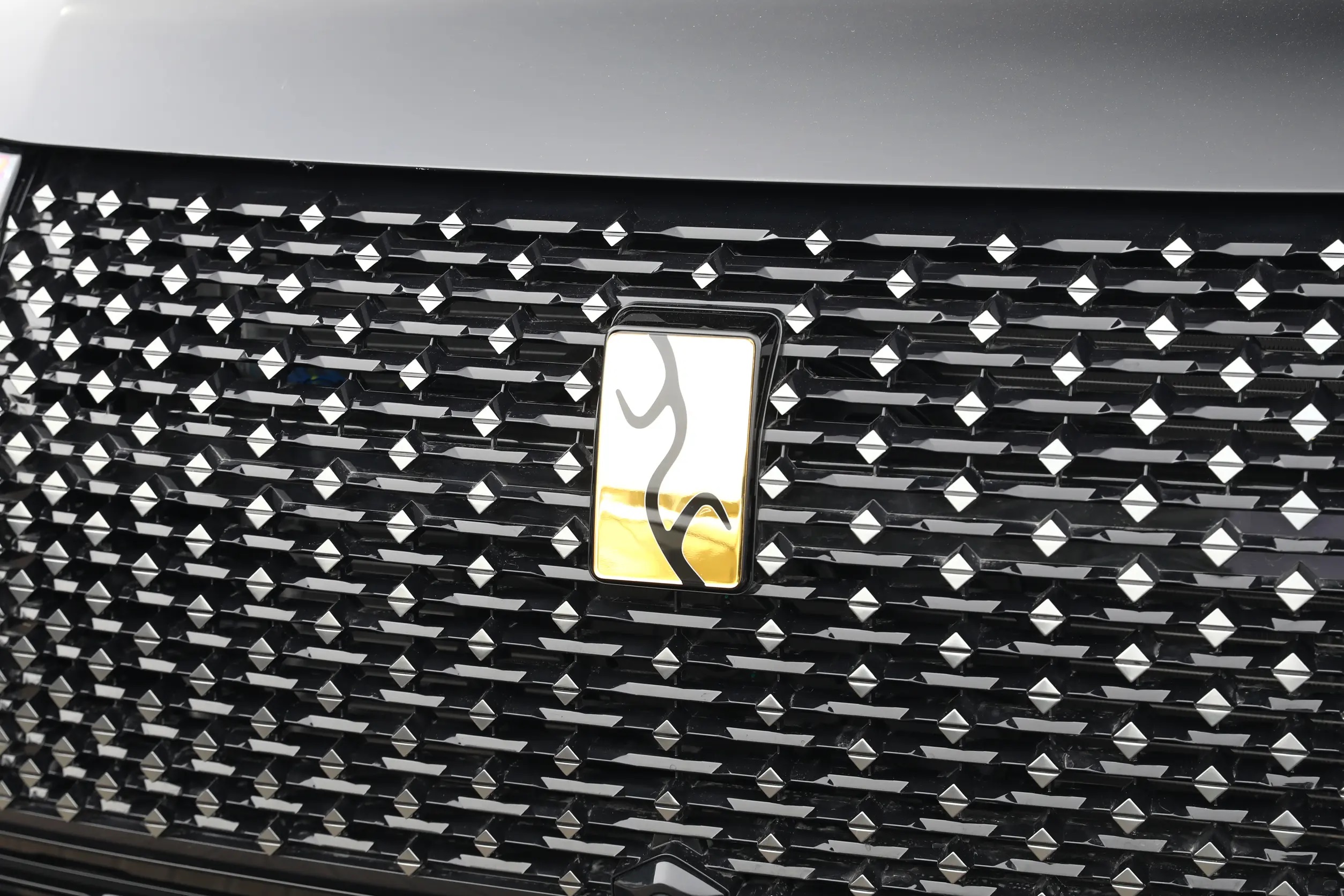 车标都是24K纯金，全尺寸再加长，轴距增加200mm+6座，3激光雷达