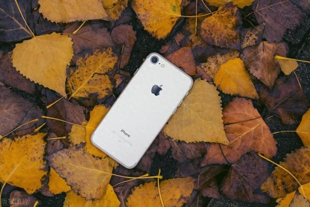 苹果跌落神坛？不，我早看透了一切！