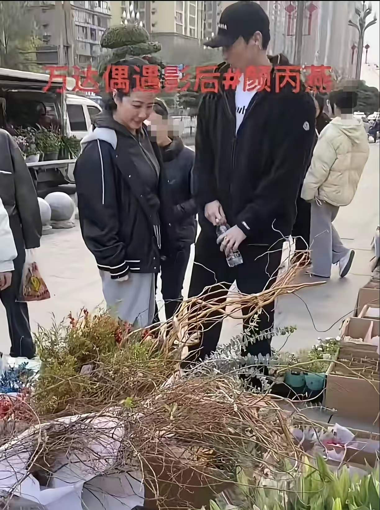爱的不是你的卵巢！颜丙燕透露男友身体好，又老又胖担心不能生娃