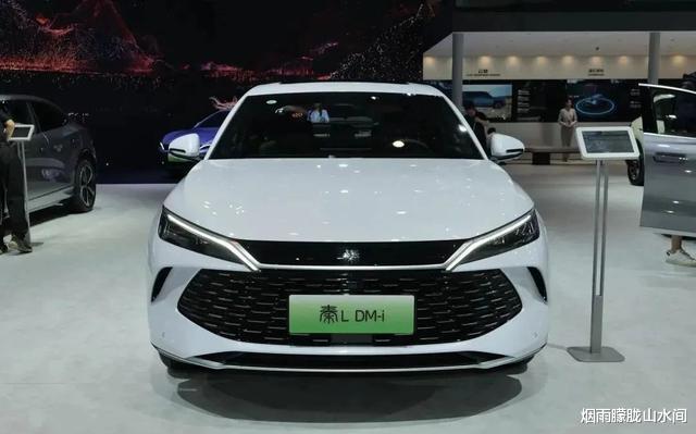 怀璧其罪：比亚迪正式对小鹏“宣战”