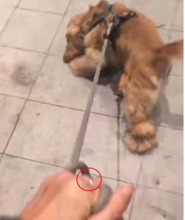 梁洛施和男友低调秀恩爱,两人皆戴订婚戒指,女方忙恋爱不拍戏!