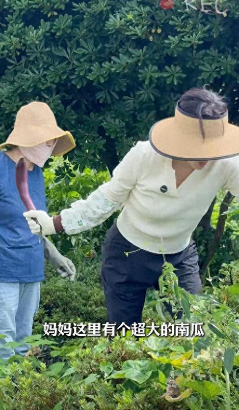 蔡琳中秋节陪妈妈过,吃4道菜都是素菜节俭,8岁儿子大口吃不嫌弃