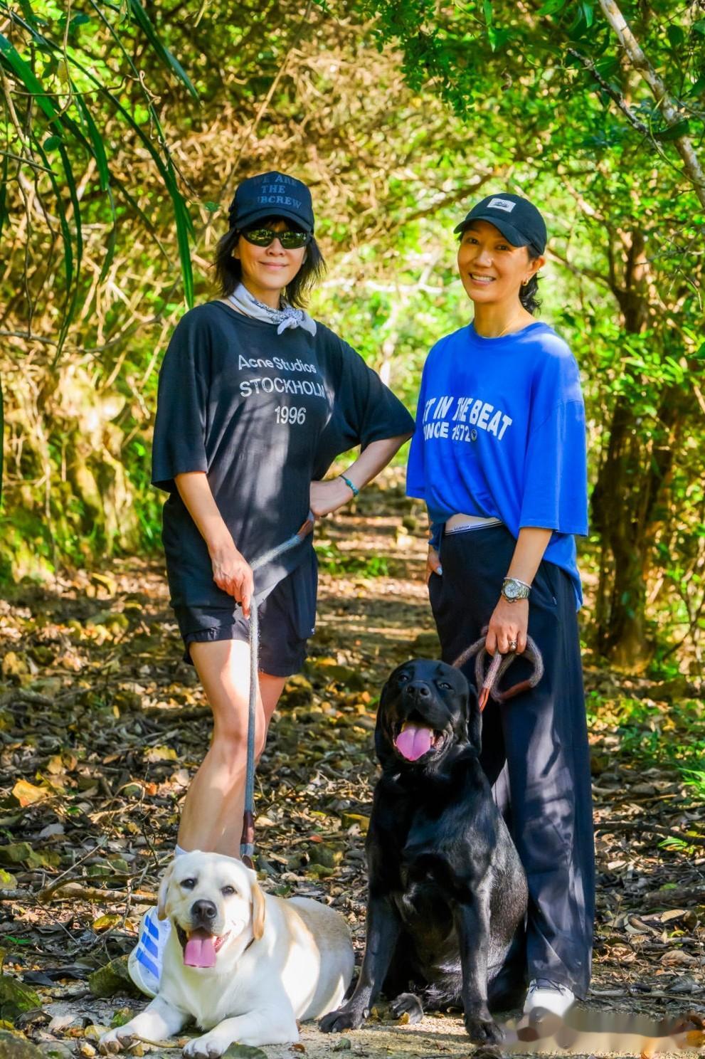 刘嘉玲外出遛狗, T恤短裤打扮休闲随性, 一双美腿又细又长不像59岁