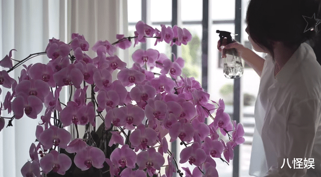 42岁毛俊杰离婚后定居上海住大别墅,晒居家生活,插花看书好享受