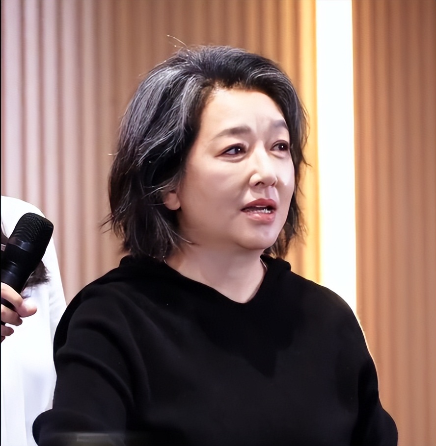 《此生必驾》发布会,谭维维脸肿、江珊自然老去、丁真主动让C位