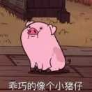 贾诩笑说搞笑