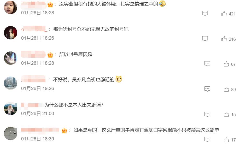 王岳伦不忍了！公开回应李湘参与缅北诈骗传闻，原来韩红没说谎