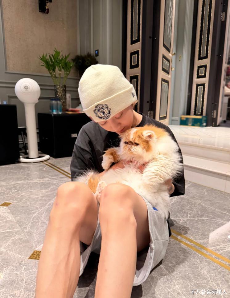 鹿晗豪宅曝光，超大平米装修奢华玩具有展示柜，短裤暴露膝盖伤情