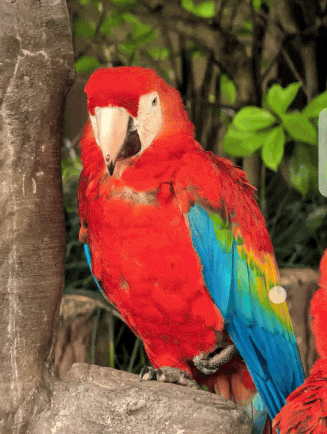 华为Ultra的最强辅助,一出手就是王炸